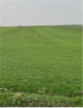 Image du bien UBI463062524